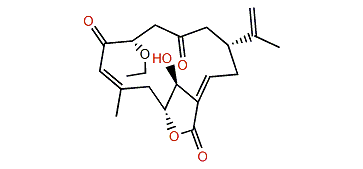 1-epi-Leptocladolide A